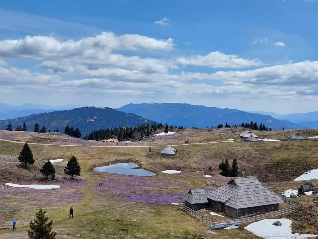 Velika planina