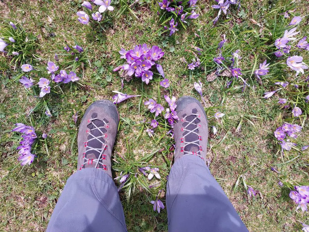Velika planina