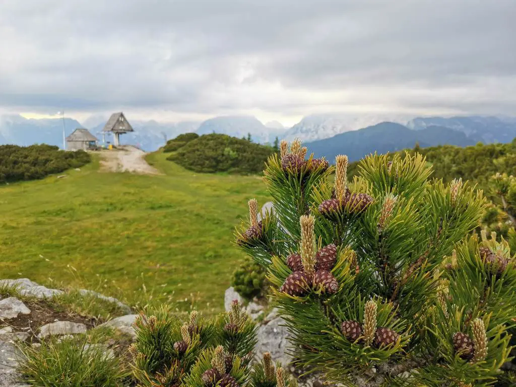 Velika planina
