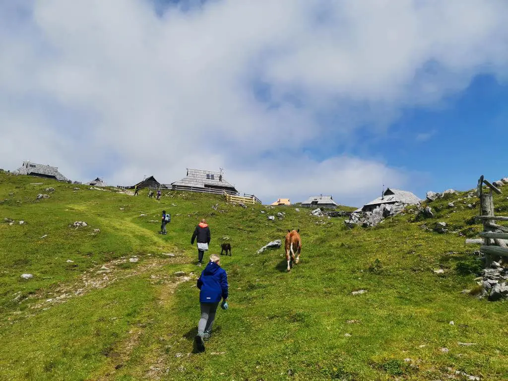 Velika planina