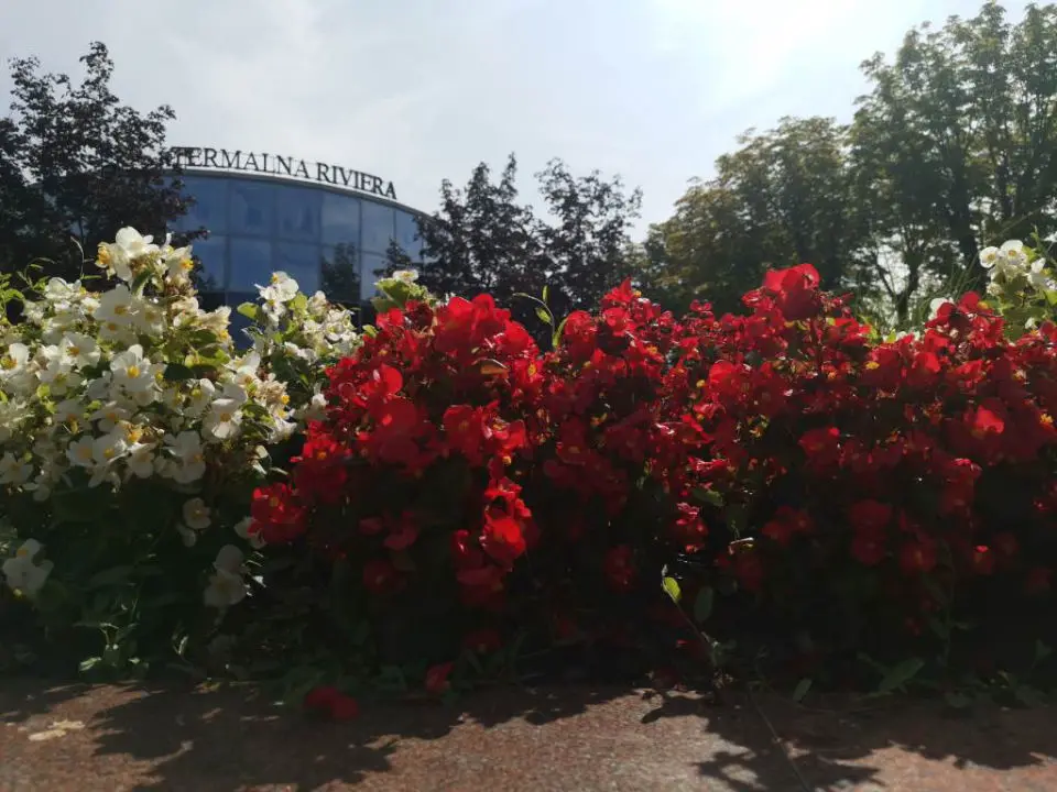 Čatež