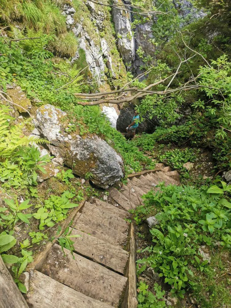 Velika planina