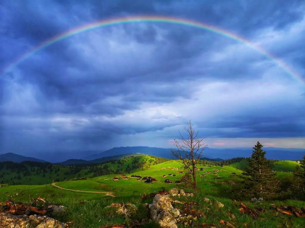 Velika planina