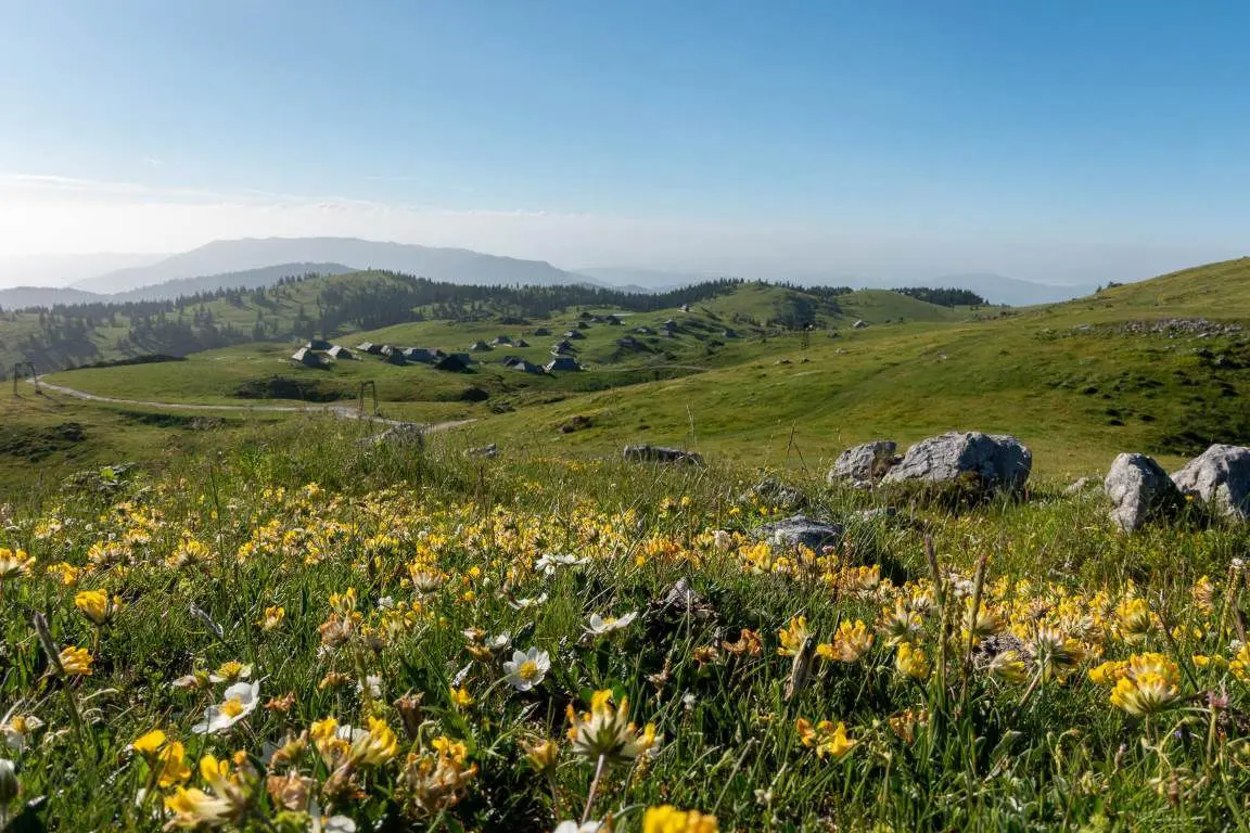 Velika planina